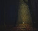 Trail of Terror
