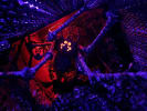 Haunted Manor of Evil