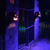 Fitzy's Fright Fest