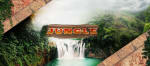 Jungle