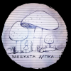 Заешката Дупка [Rabbit Hole!]