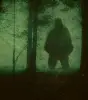 BIgFoot