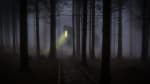 Trail Of Terror