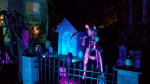 Sea Mist Asylum