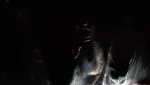 Zombie Apocalypse