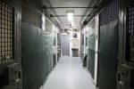 Prison Riot