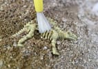 Jurassic Farm