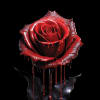 Exes & O's: A Bloody Valentine's Haunted House