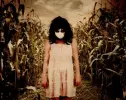 Haunted Corn Field - Field Of Screams