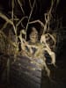 Spears House of Fright Haunted House
