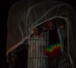 Haunted Trails