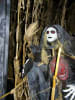 Haunted Forest and Cornfield Adventure