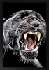 La Maldición del Jaguar [The Curse of the Jaguar]