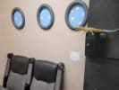 Creatures on a Plane