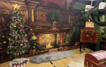 Holiday Rescue