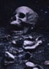 El Cementerio [The Cemetery]