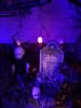 Belladonna Boneyard