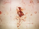 Blutrausch [Blood Lust]