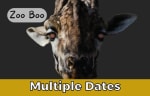 Zoo Boo