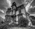 Haunted Show