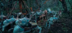 Lost Carnival Attraction