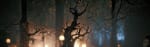 Frights N` Lights