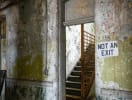 Asylum