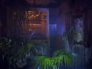 La Serre [Greenhouse]