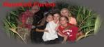 Haunted Forest - Nightmares