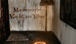 Mordet Paa Elinor