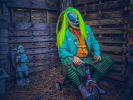 Wicked South Haunted Forest