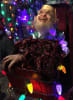 Evil Elves Of Christmas