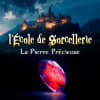 L’École de Sorcellerie: La Pierre Précieuse