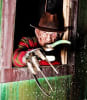 Nightmare Acres