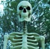 The Looneyville Haunted House