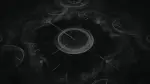 Trapped in Time