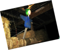 Spooky Barn Ride