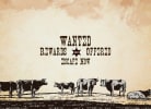 Wild West Escape Game