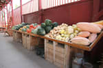Pumpkin Patch Hayride
