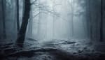 Haunted Trail