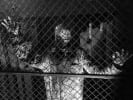 Grissom Maze of Terror