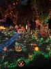 Halloween Lights Drive Through
