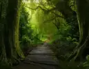 La Forêt Enchantée [The Enchanted Forest]