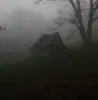The House In The Woods
