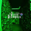Jungle Diamonds