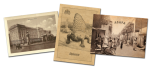 Paleontolog [Paleontologist]