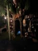 Dark Mark Arts: The Cabinet of Curiosities