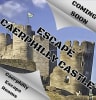 Caerphilly Castle