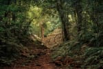 Les Derniers Aventuriers Du Temple Perdu [The Last Raiders Of The Lost Temple]