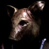 Rising Haunted Attraction